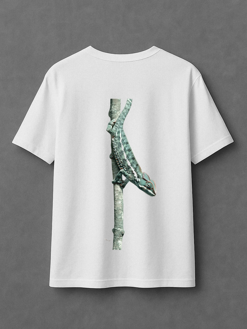 Chameleon Climb - Oversize T-Shirt