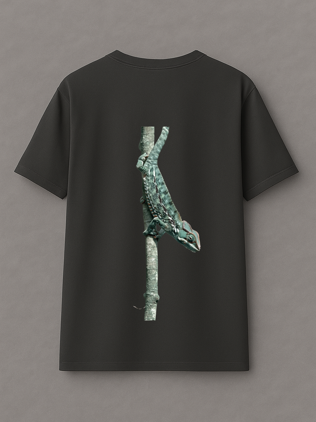 Chameleon Climb - Oversize T-Shirt